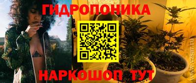 ПСИЛОЦИБИНОВЫЕ ГРИБЫ Свободный